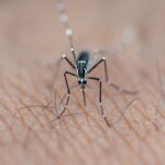 “DENGUE GOLPEA A AGUASCALIENTES CON 400 CONTAGIOS, UNA MUERTE Y PRESENCIA EN MÁS DE 100 COLONIAS”