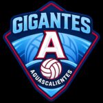 «CONOCE LAS CARAS DETRÁS DE LAS GIGANTES DE AGUASCALIENTES RUMBO A LA TEMPORADA 2027»